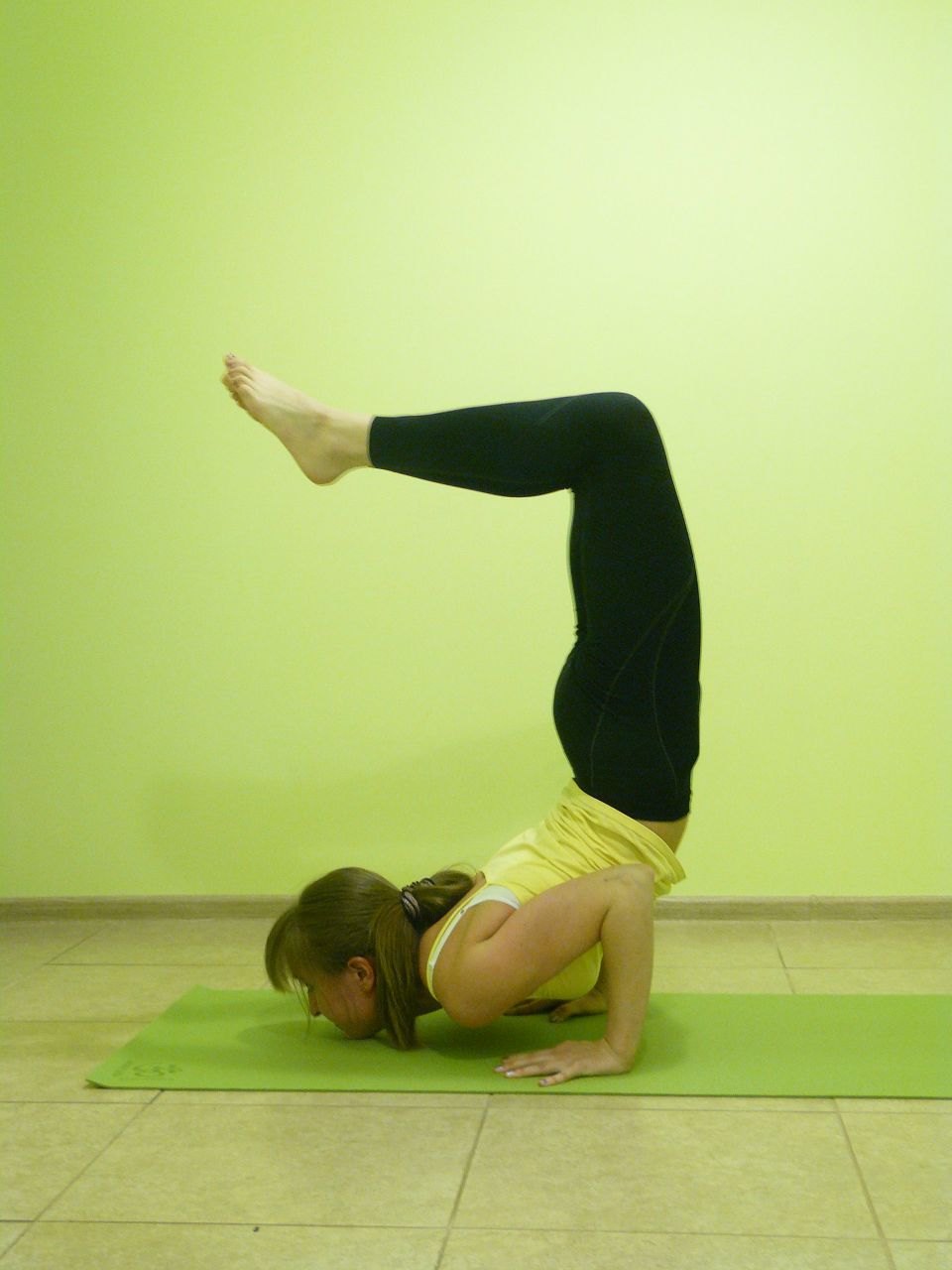 Софья Бардовская | Рязань