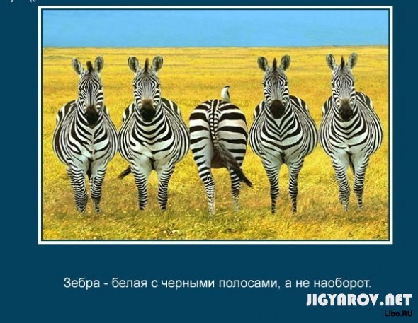 Карина Измаилова | Москва