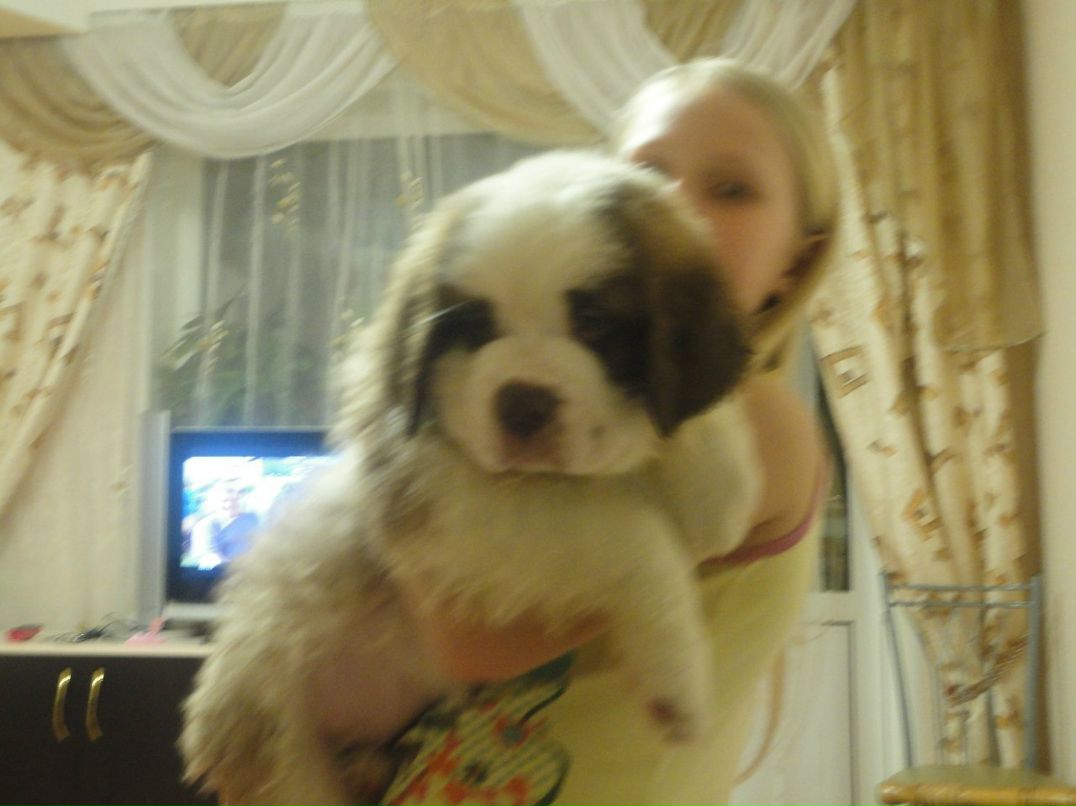 Полина Тарасова | Кадуй (пгт)