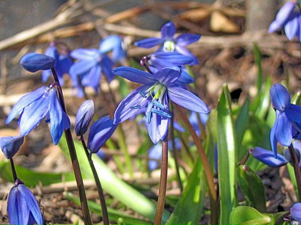 №110, Ангелина Маняшена, Сумы №110, Ангелина Маняшена, Сумы