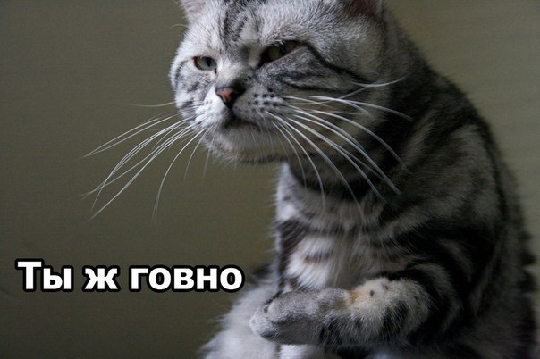 Алексей Сергеев | Москва