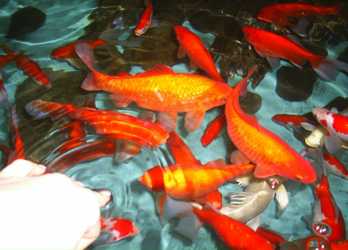 Сергей Пономарев ˙·٠✈ | Новосибирск