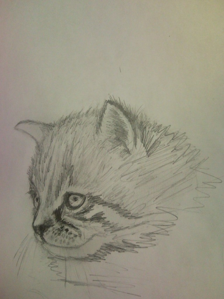 Илья Марков | 