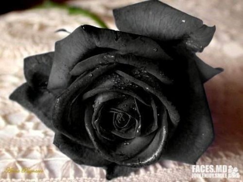 №95, Елена Беседина, 42 года, Нижневартовск №95, Елена Беседина, 42 года, Нижневартовск