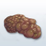 №2, Сергей Πопов №2, Сергей Πопов