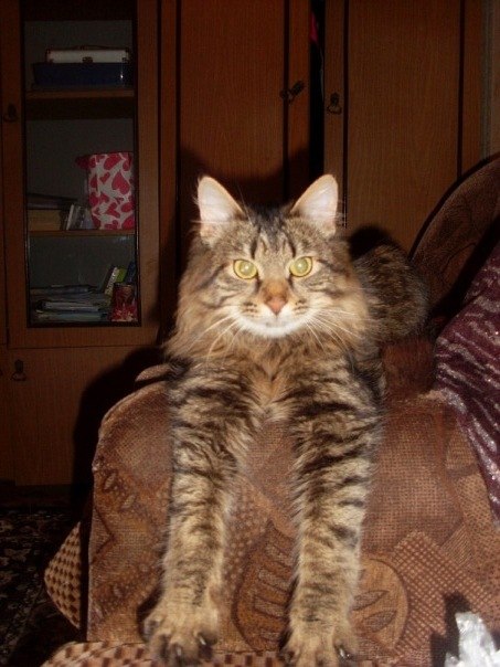 Ваня Наумов | Йошкар-Ола