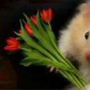 Любовь Щетникова | Екатеринбург