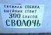Светлана Кутьина фотография #28