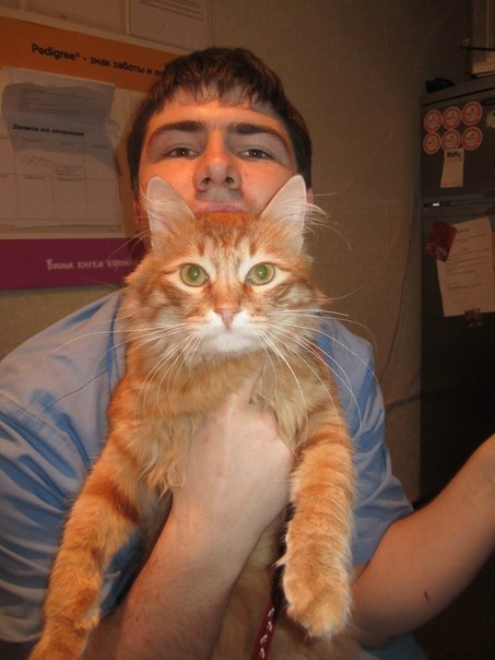 Григорий Дёмин | Москва