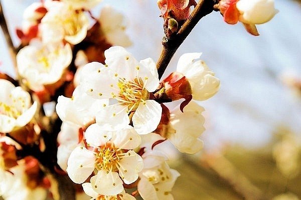 Евгения Шибаева | Орёл