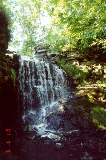 Olga Gordienko | Силламяэ