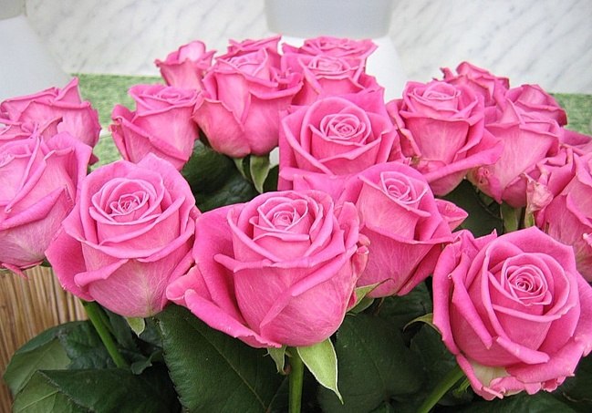 Павел Митрошенко | Новосибирск