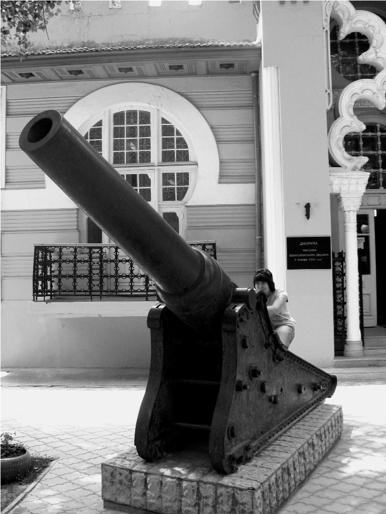 Екатерина Курлова | Гусь-Хрустальный