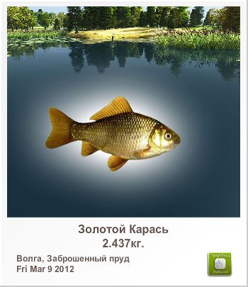 Влад Долгов АДВОКАТ | Санкт-Петербург