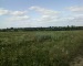 Олег Петров фотография #47 (источник - https://vk.com/id71684922)