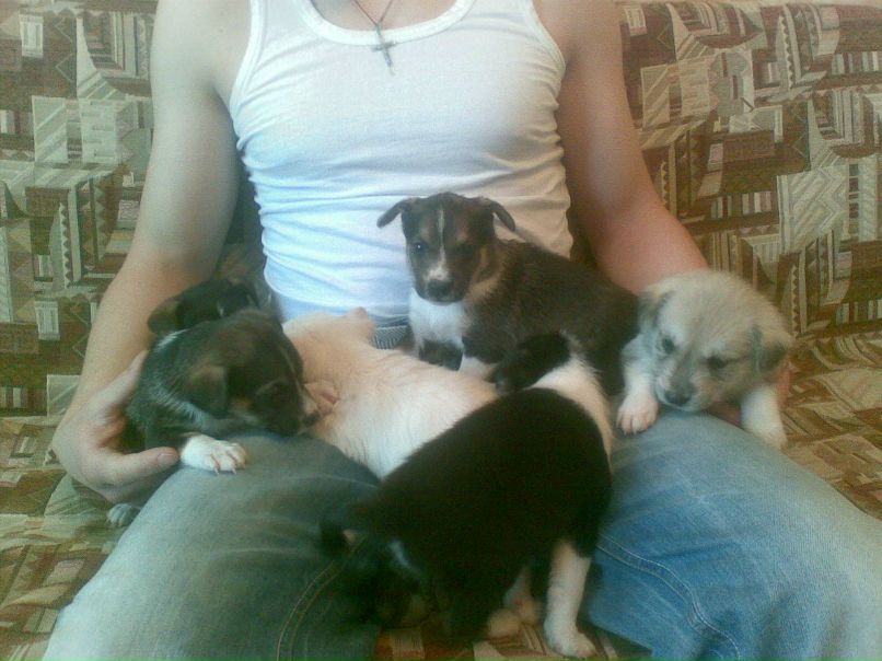 Василий Рожков | Кубинка