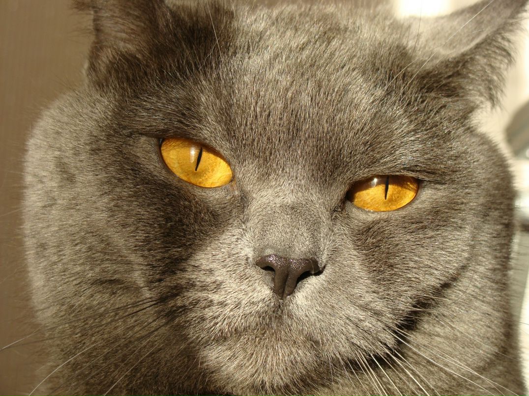 Игорь Соловьев ХАРОШ!!! | 