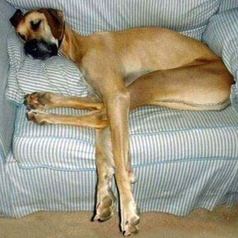 Timur Magrubdzhanov Kahramonovich | Щелково