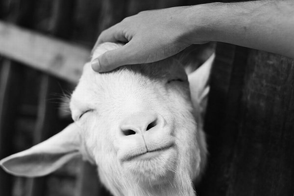 Анастасия Архангельская | Санкт-Петербург