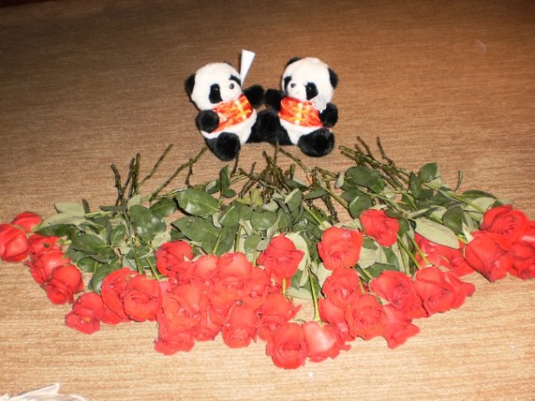 Ольга Лучинкина | Бийск