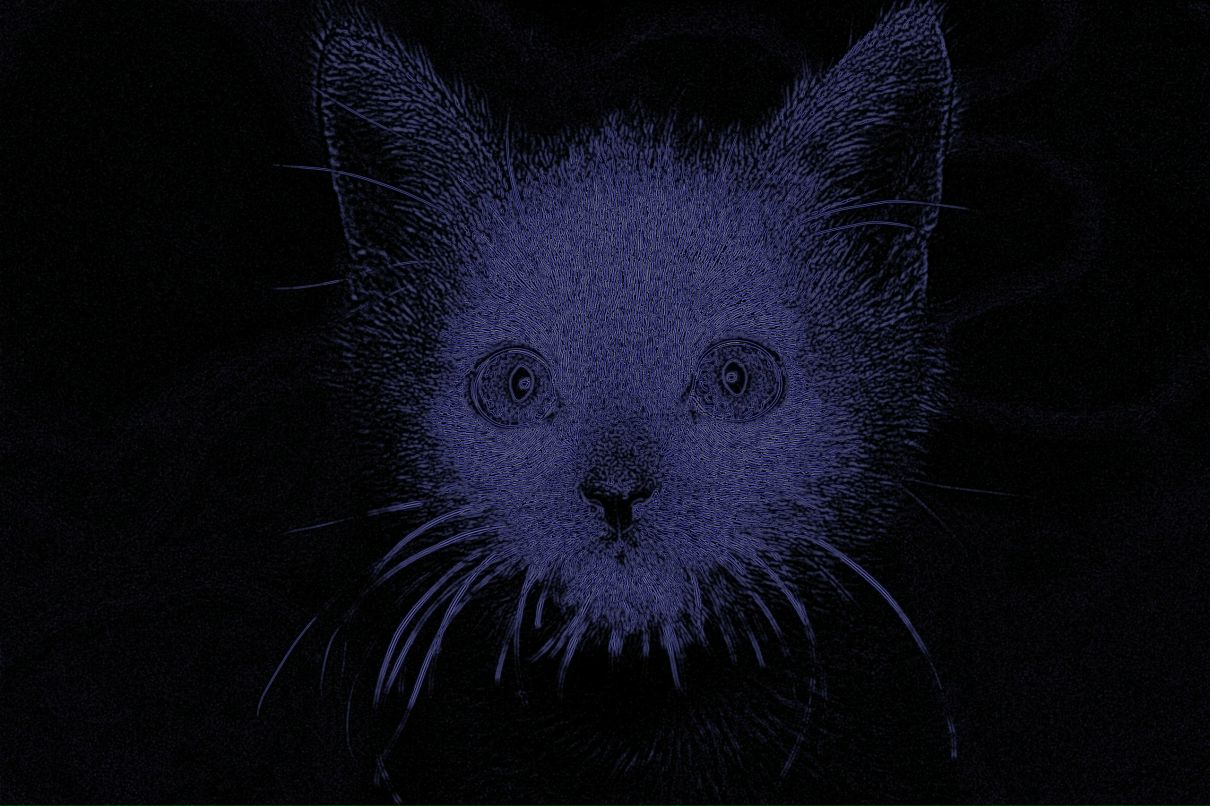 Alexander Gnezdov | Санкт-Петербург