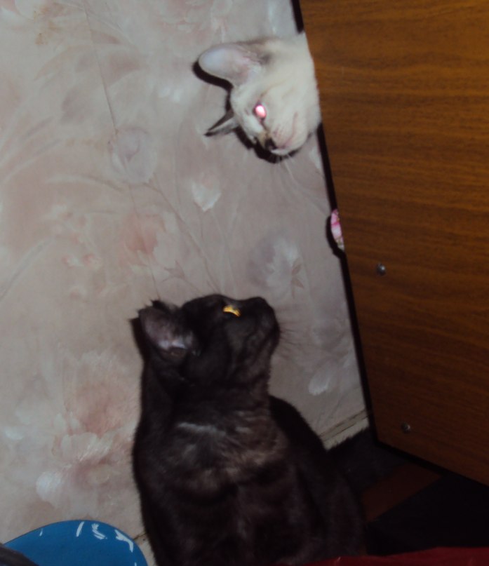 Таня Кондрашова | Томск