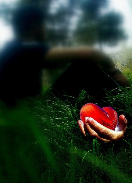 Rabil Sefiyev | Баку