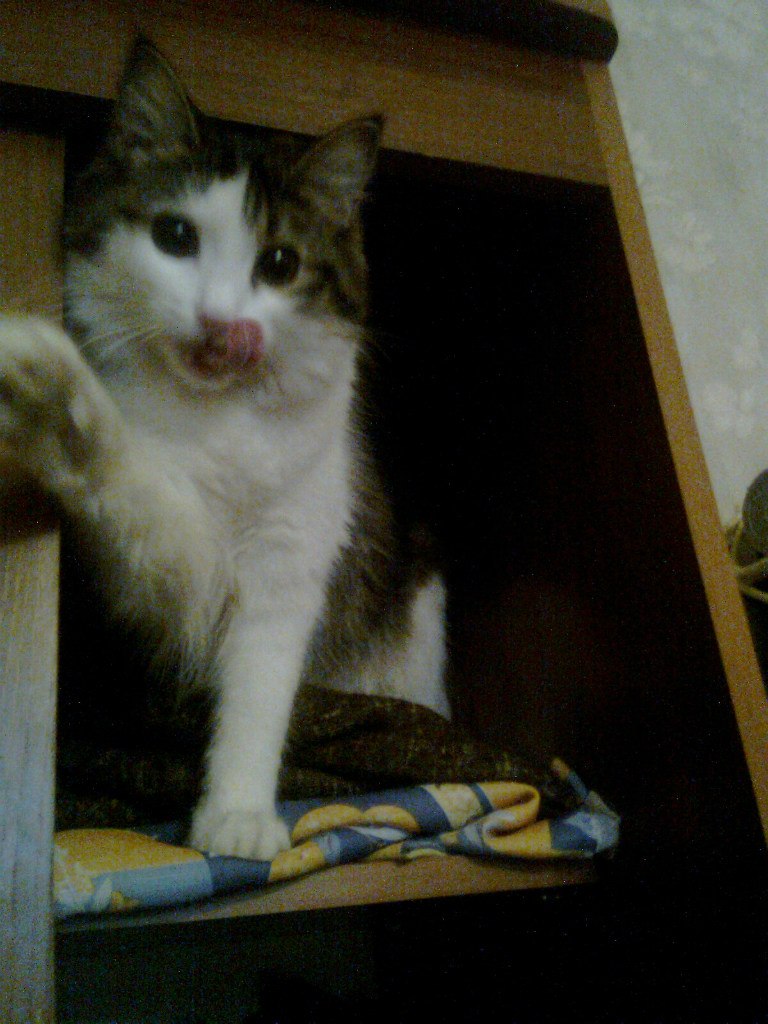 Наталья Коробова Евгеньевна | Красноярск