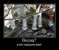 №132, Рустем Краубаев, 37 лет, Мокроусово №132, Рустем Краубаев, 37 лет, Мокроусово