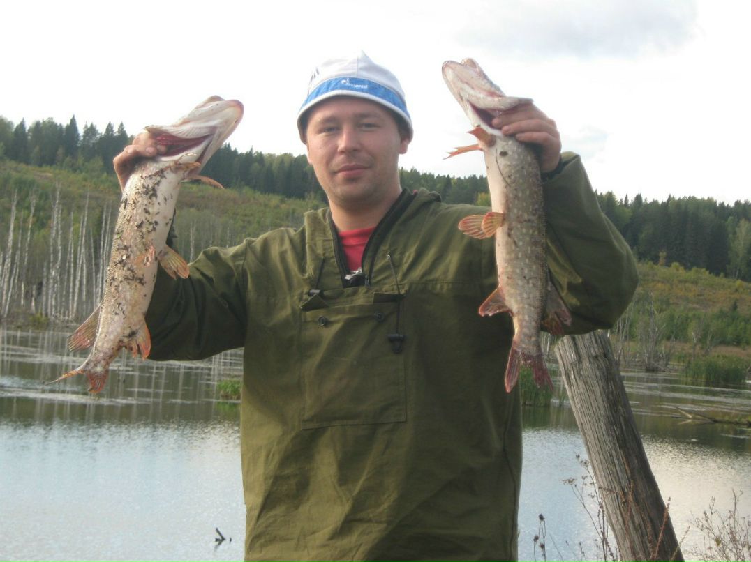 Герман Трапезников | Пермь