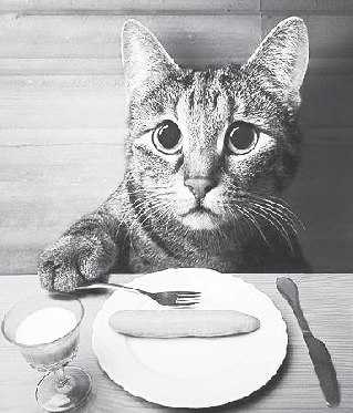 Антон Chillin . | 