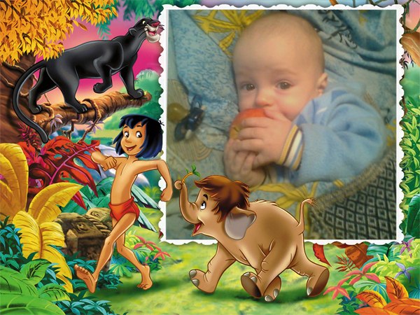 Александр Даценко | Кропивницкий / Кировоград