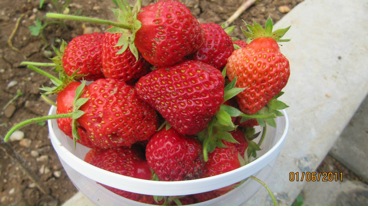 Оксана Головня | Симферополь