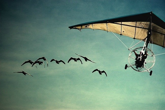 Никита Плотников | Москва