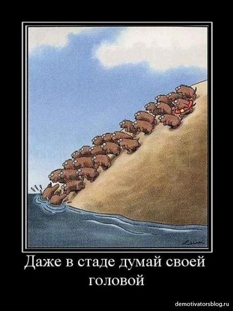 Виталий Ересько | Волгоград