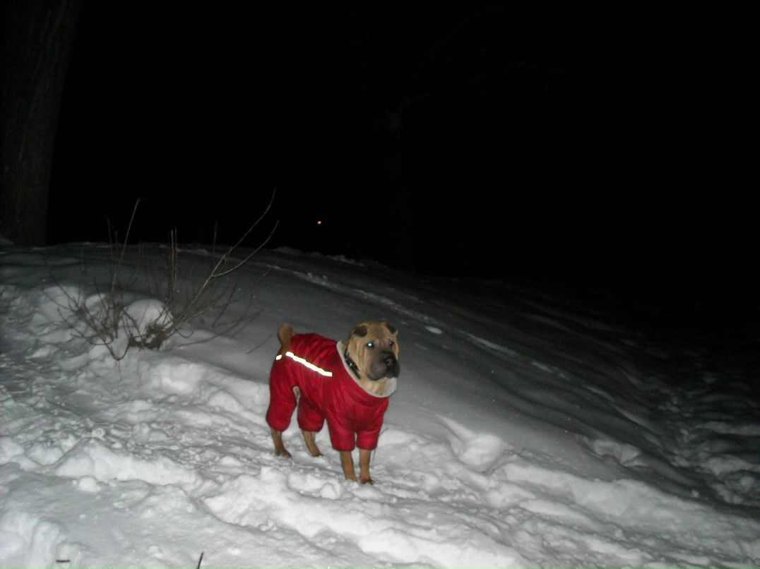 Артем Наговицын | Белая Церковь