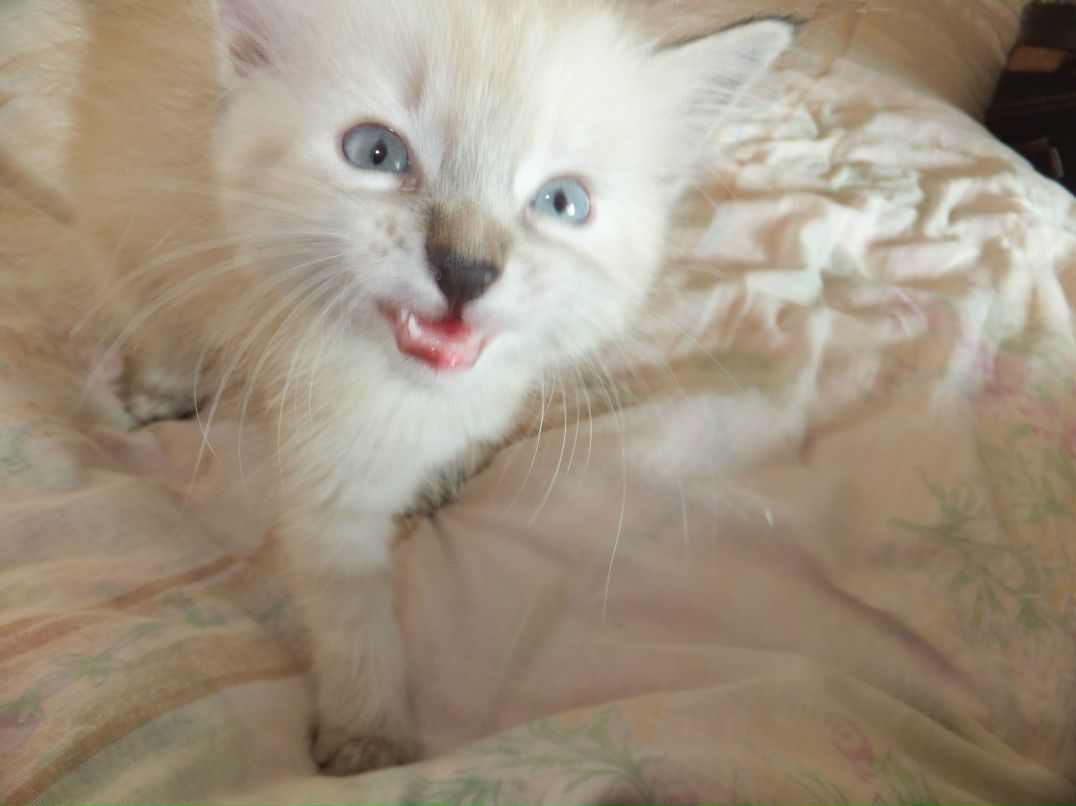 Ирина Якимова | Екатеринбург