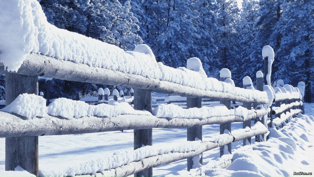 №180, Ирина Чистякова, Ярославль №180, Ирина Чистякова, Ярославль