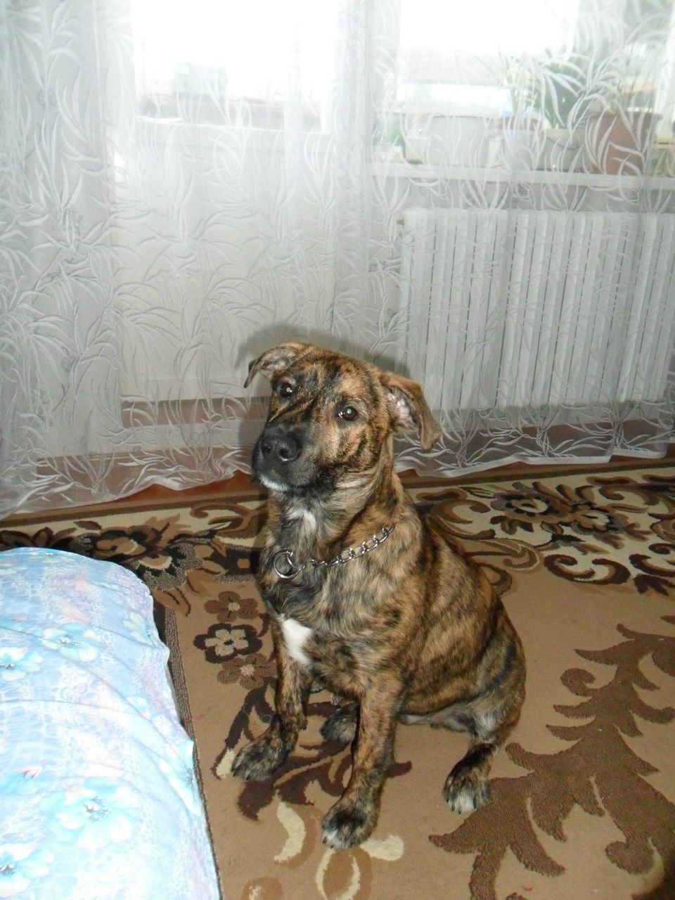 Александр Колодей 웃♥유 | Жлобин