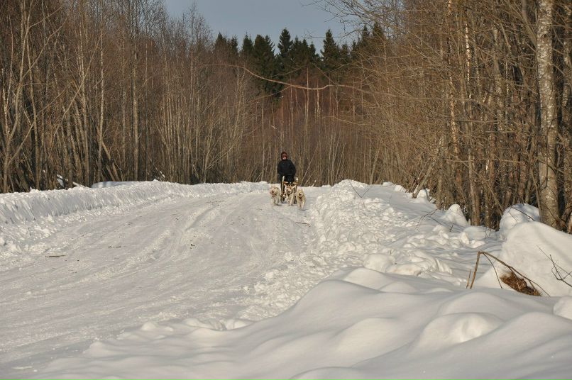 Евгений Елхачев | Вологда