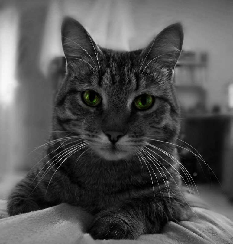 Ваня Степаков | Петрозаводск