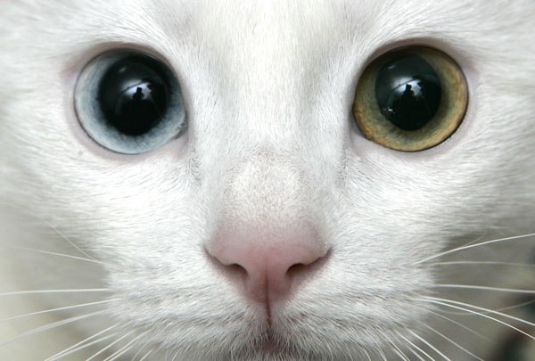 №139, Стас Пухов, Москва №139, Стас Пухов, Москва