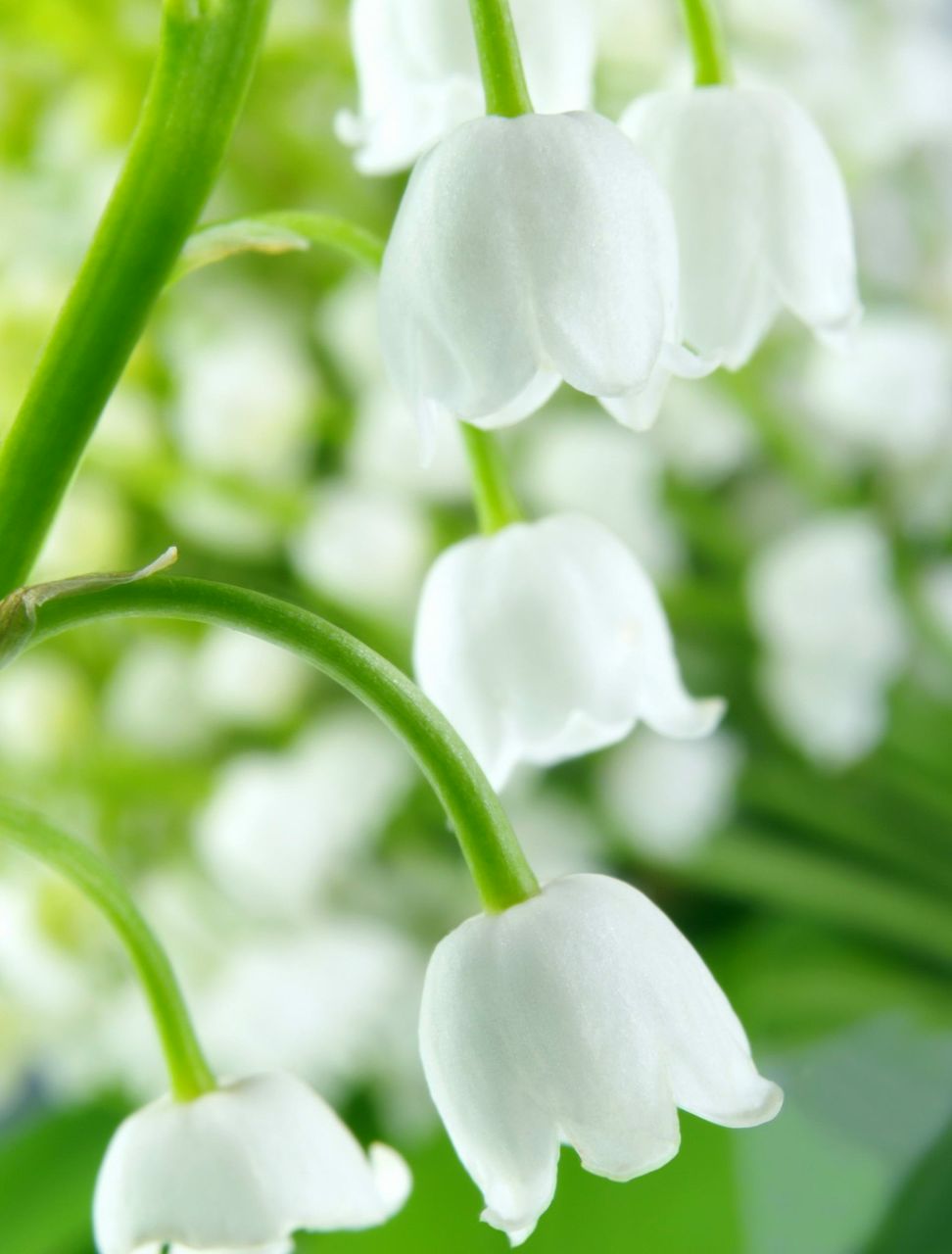 Наталия Баранова | Одесса