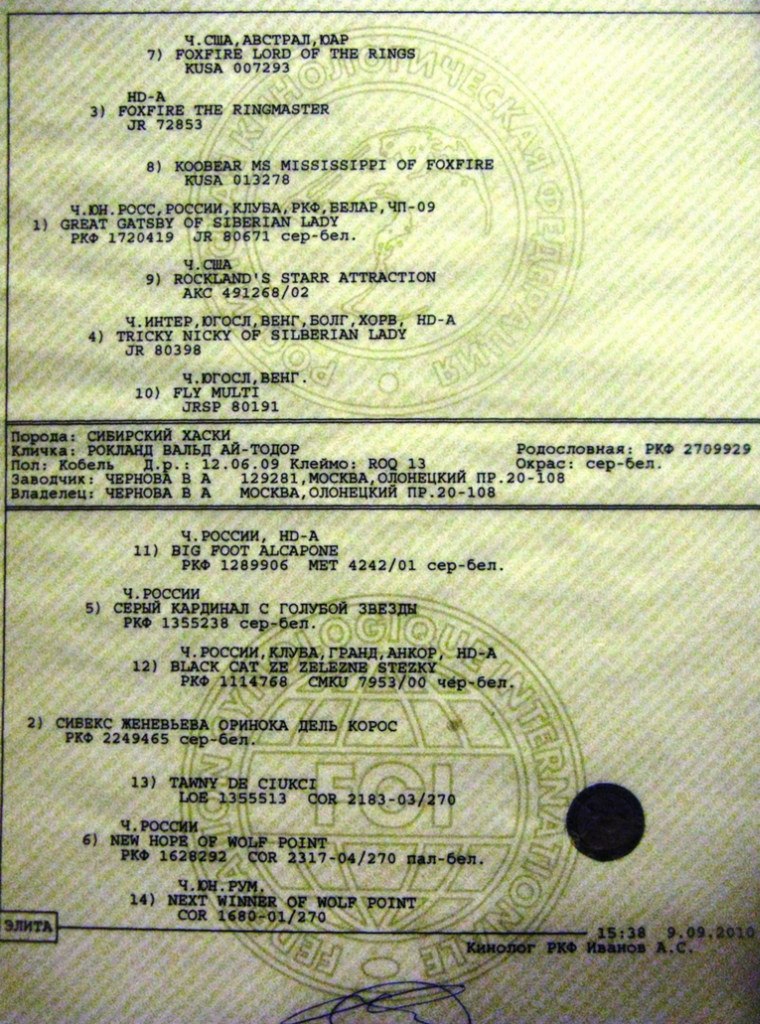 Катерина Платонова | Larnaca