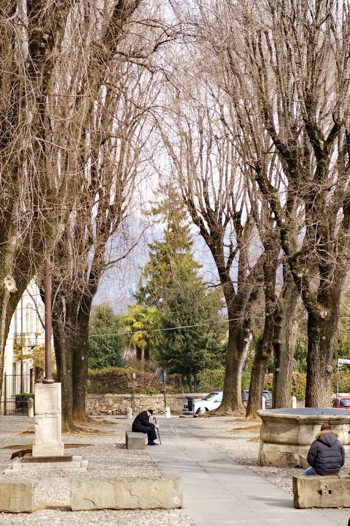 Михаил Васильев | Санкт-Петербург