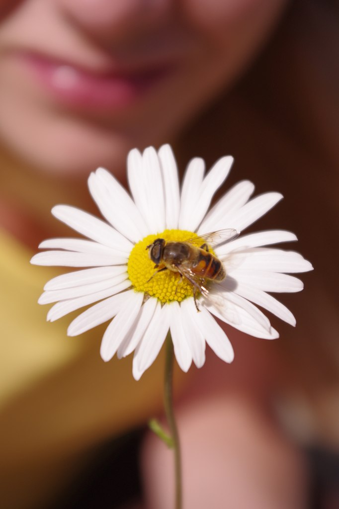 Софья Тервинская | 