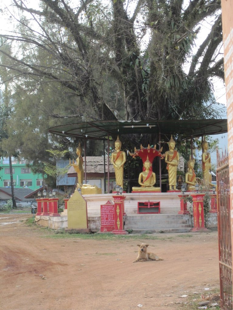 Женя Придорожный | Кишинев