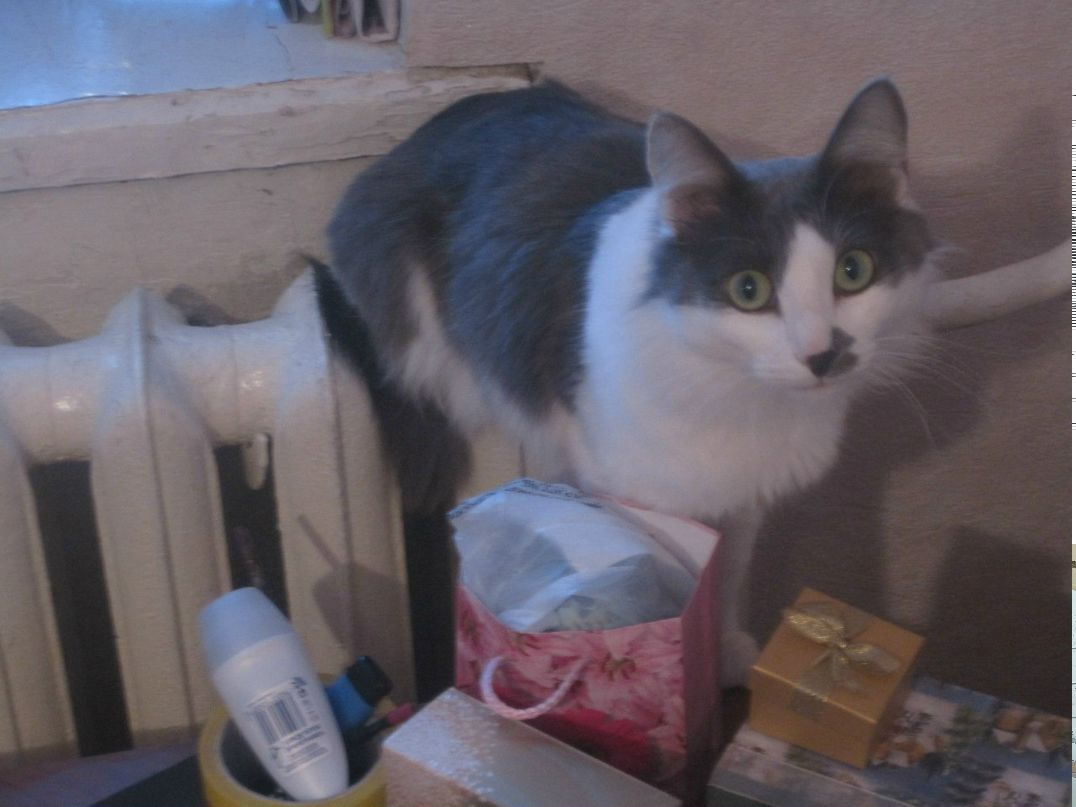 Ксения Строкова | Ижевск