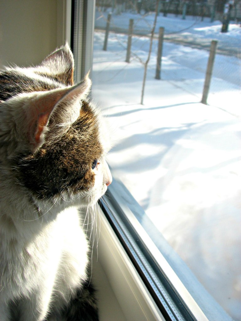 Настя Джема Make a love) | Киев