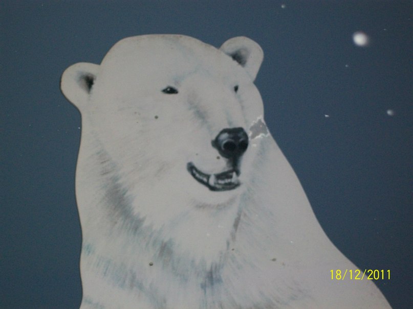 Алина Ескина *без подруги не как* | Костомукша